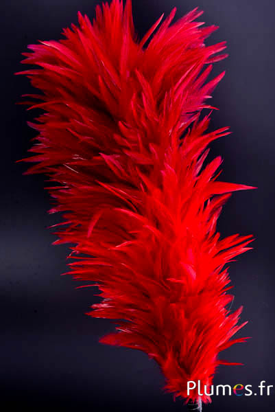 Pennacchio gallo con anello - altezza 40 cm - rosso-carmino
